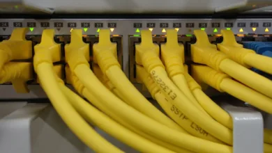 network-cable-499792_1280